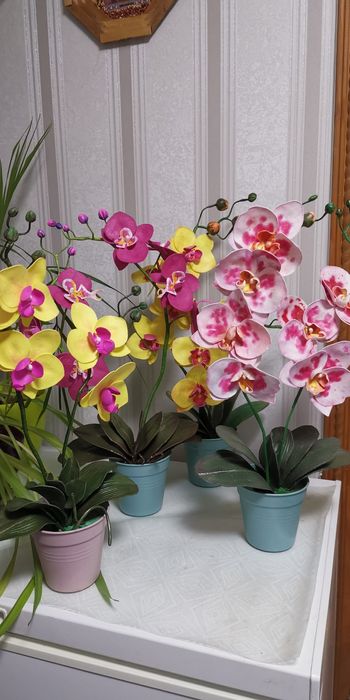 Орхідеї квіти для декору поларунок