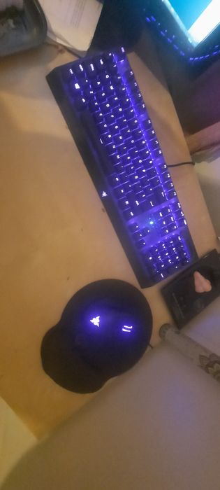 Teclado Blackwidow chroma v2 e Rato Basilisk v2 Razer