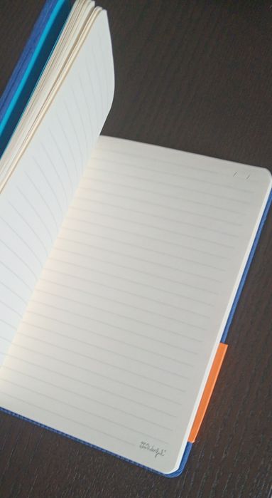 Caderno Mr. Wonderful