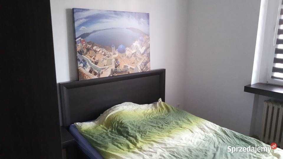 Zdjęcie 8