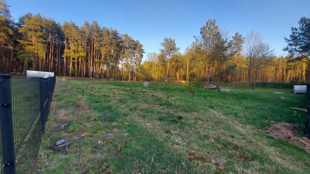 Działka budowlana 21 arów przy lesie