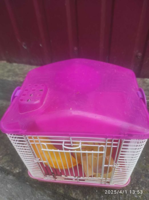 кліточка для хомячка