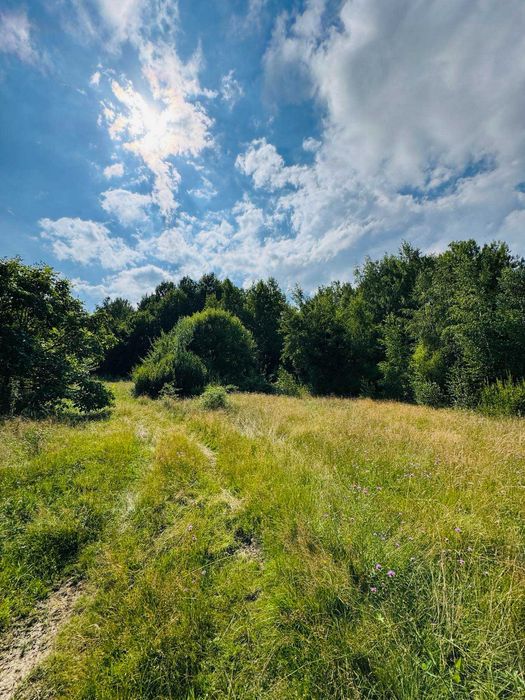 Продаж земельної ділянки, Косів, вул.Павлика. БЕЗ КОМІСІЇ (біля лісу)