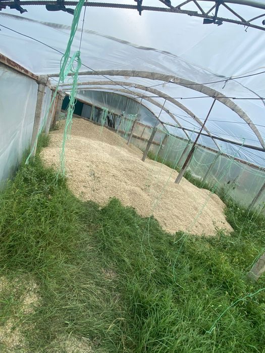 Продам каркас теплицы, столбики