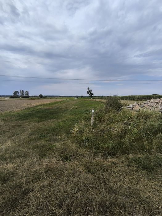 Działka pod Mławą  30arów pod budowę domu
