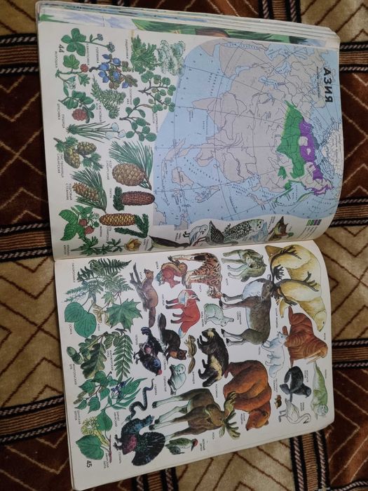 Мир вокруг нас. Географический атлас+2 книги в подарок: 340 грн