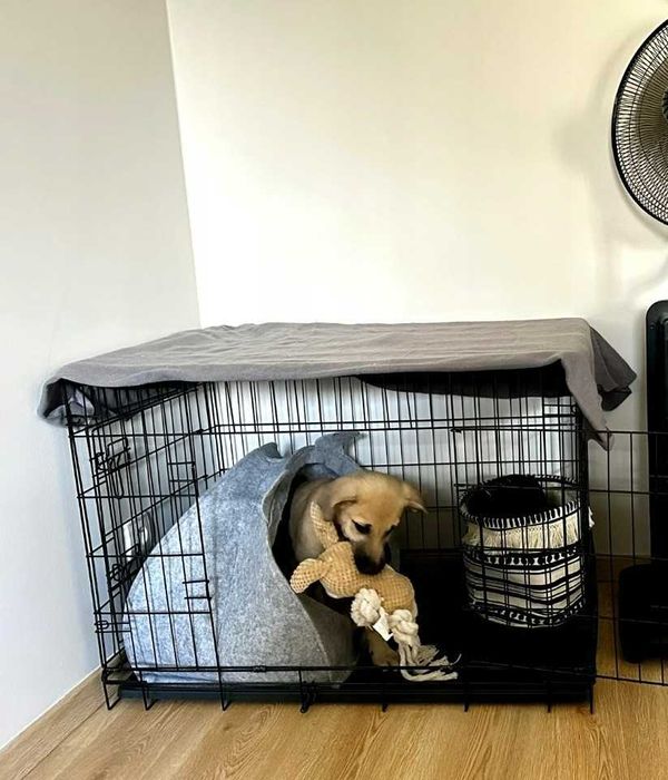 Клітка для тварин металева розкладна—Вольєр для собак, цуценят НОВИЙ‼️