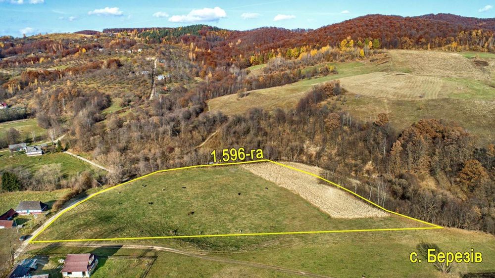 Продаж земельної ділянки в Карпатах