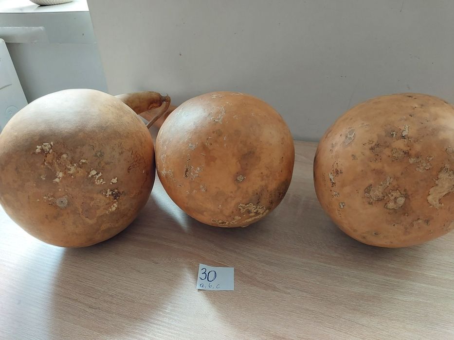 Tykwy kpl.3 sztuki