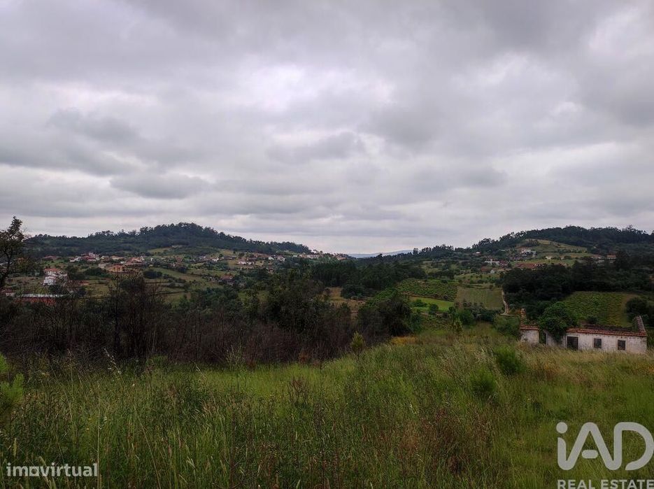 Terreno para construção em Colmeias e Memória de 116,00 m2