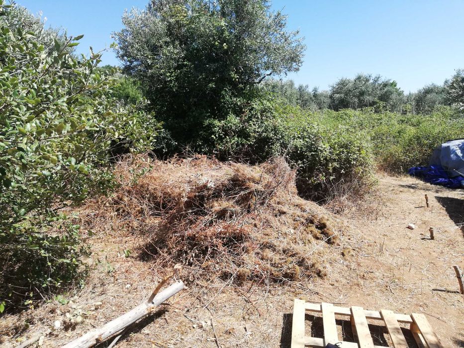 "Terreno Rústico à Venda – Tomar, em Santarém"