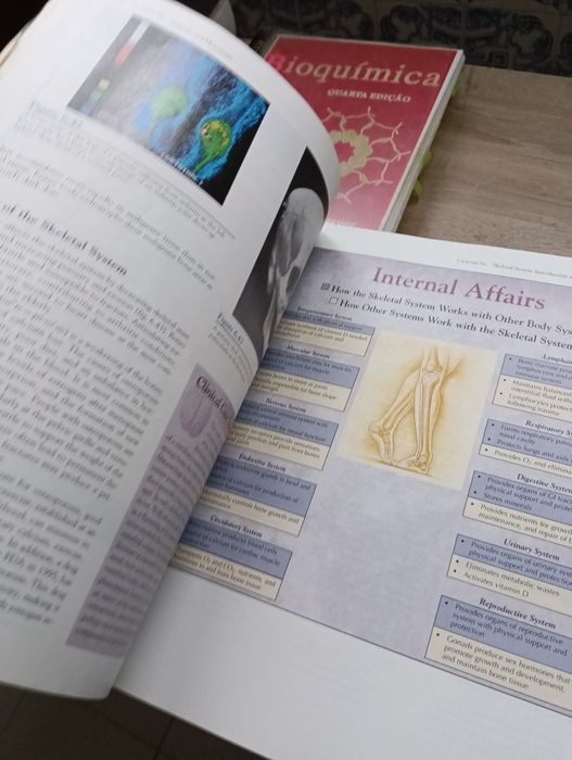 Livro: Human Anatomy – Van De Graaff (5th Edition