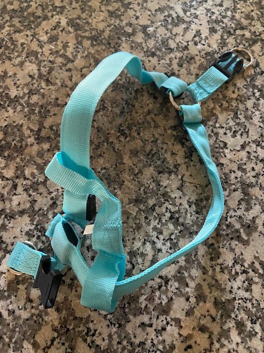 Arnes para cão médio