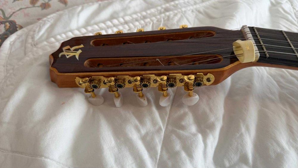 Viola Caipira ROZINI 12 Cordas