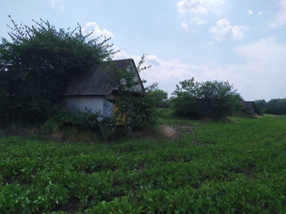 Продам земельну ділянку.