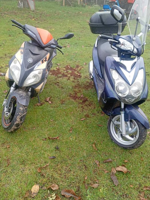 Rex