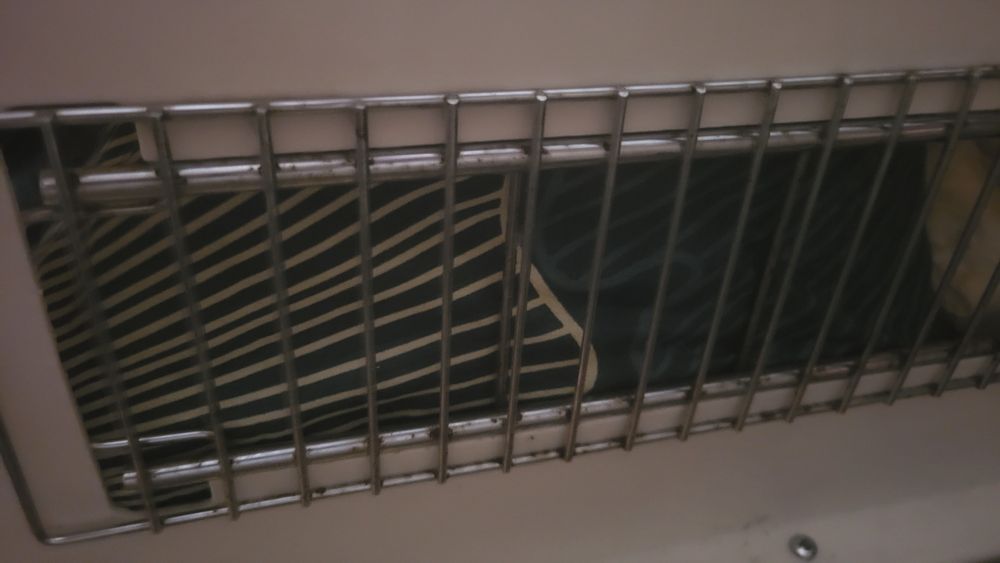 Duży transporter dla psa