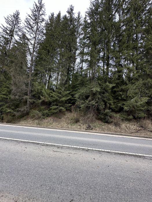 Земельна ділянка с.Яблуниця, переведена під будівництво!