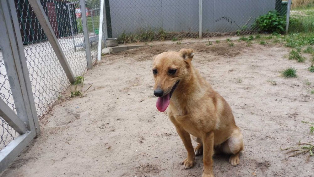 Biedny i zagubiony Etyl szuka stabilnego domu