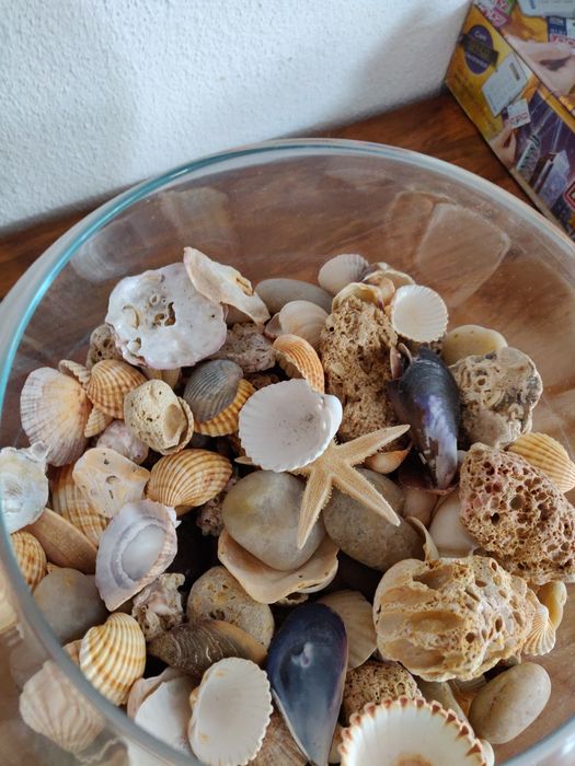 Taça com búzios e pedras