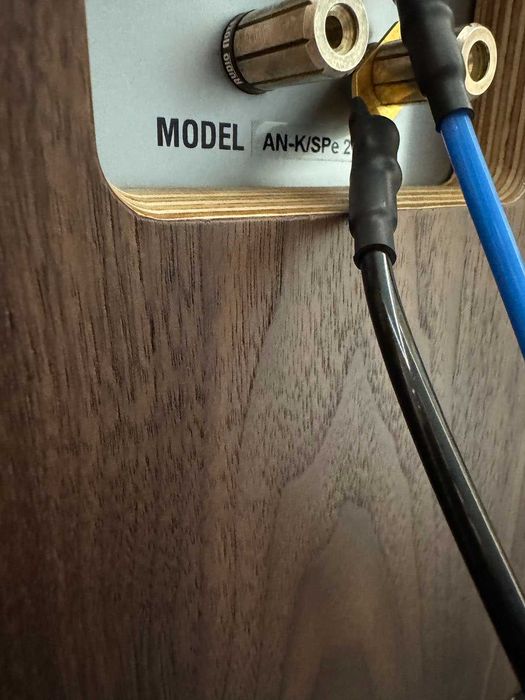 Audio Note COBRA + AN-K/SPe | Wzmacniacz lampowy + kolumny + standy