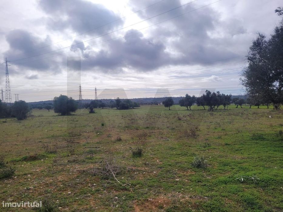 Dois Terrenos Rústicos Com O Total De 12160M2 Para Venda Em Cortezões- — Algoz E Tunes, Faro