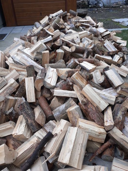 Opał-Drewno- Transport Gratis-WYCINKA DRZEW-sosna, świerk,olszyna,klon