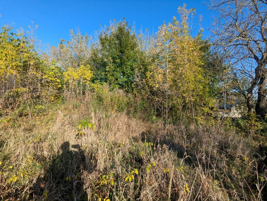 Продаж земельної ділянки