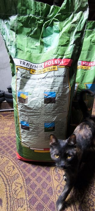 Nasiona trawy, Trawnik Polski Uniwersalny 15 kg