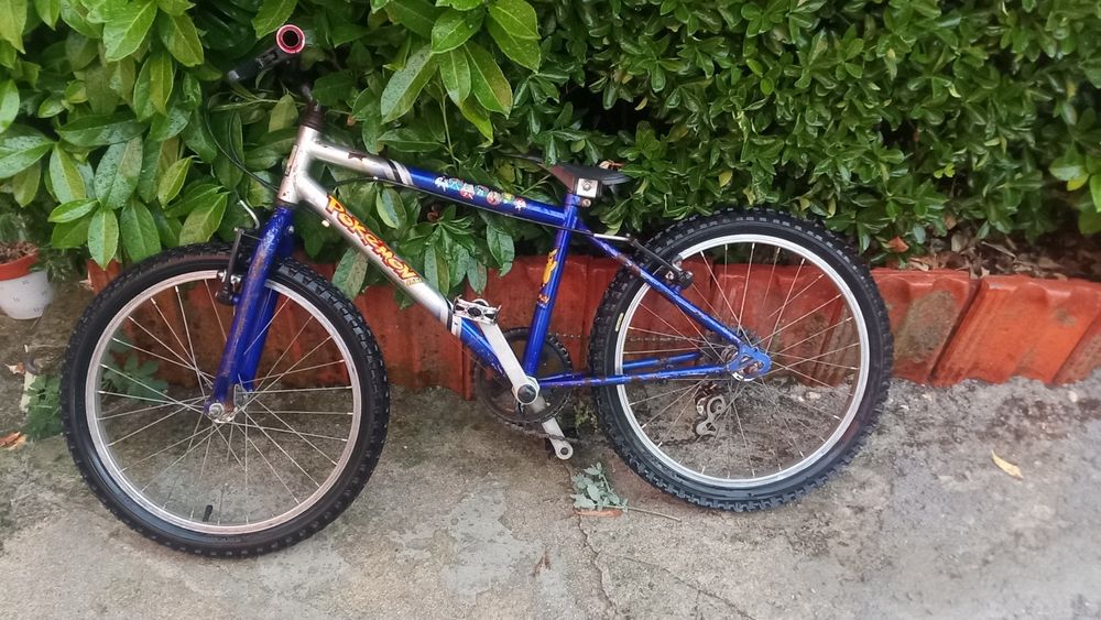 Bicicletas para adultos, adolescentes e crianças