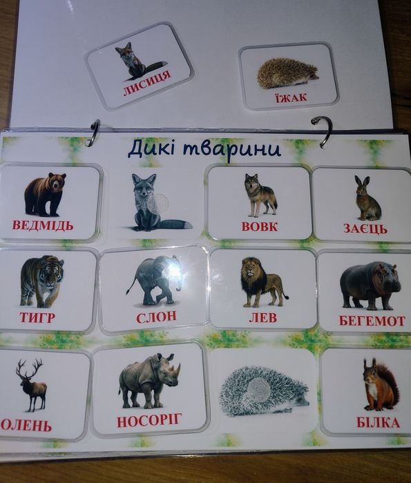 Картки Домана, карточки Домана, картки Домана, карточки домена