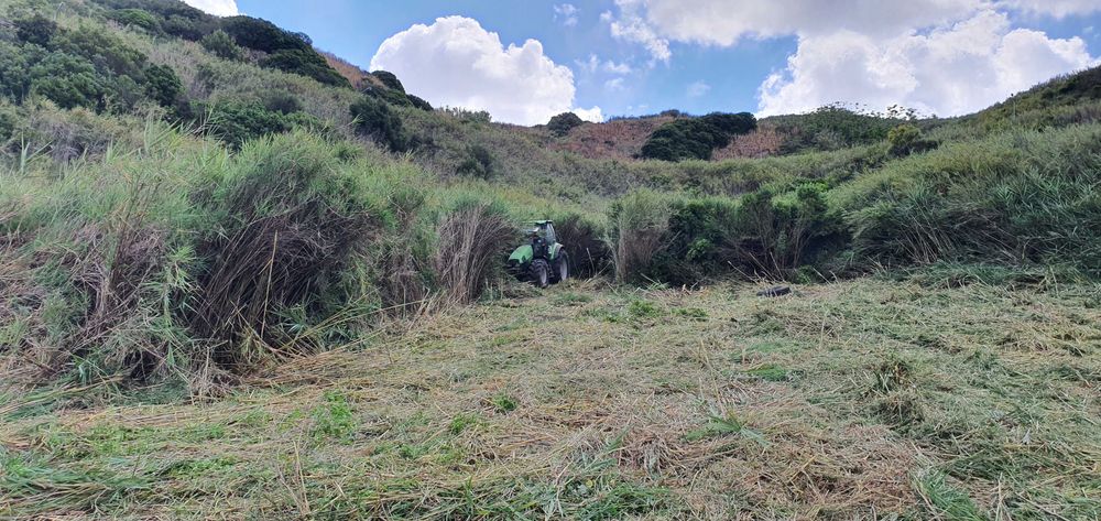 Limpeza de terrenos/desmatação LISBOA e arredores