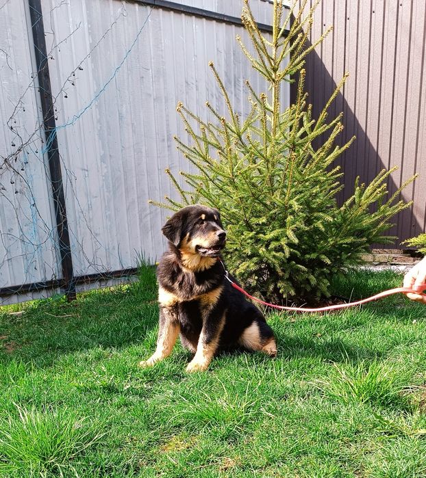 Красень! Продаж.