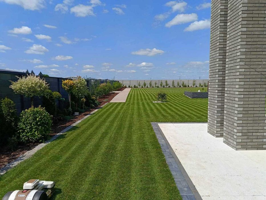 Trawa rozwijana z rolki