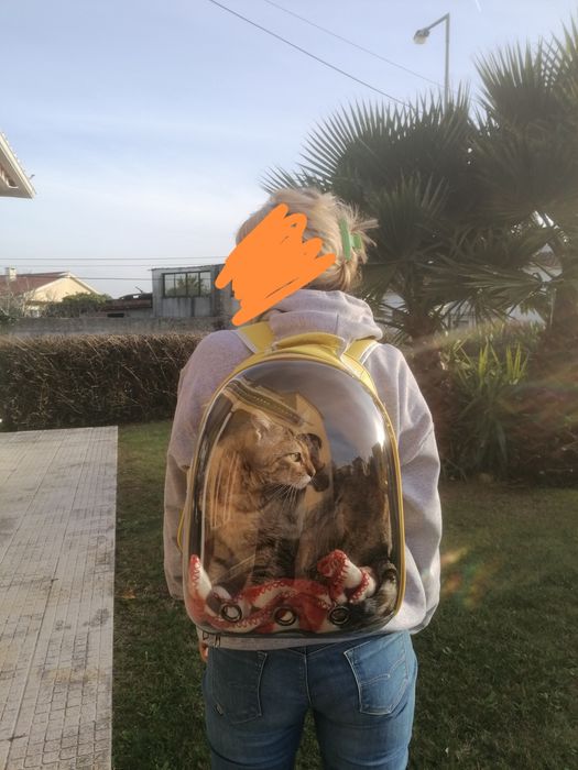 Mochila de passear gato