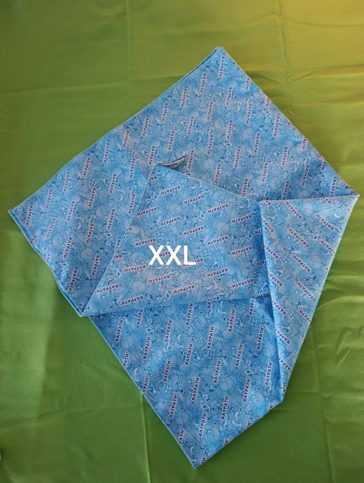 Sunbeam XXL Raypath
