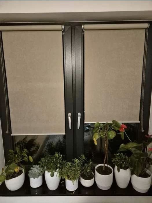 Rolety Colours Ilas 52 x 180 cm