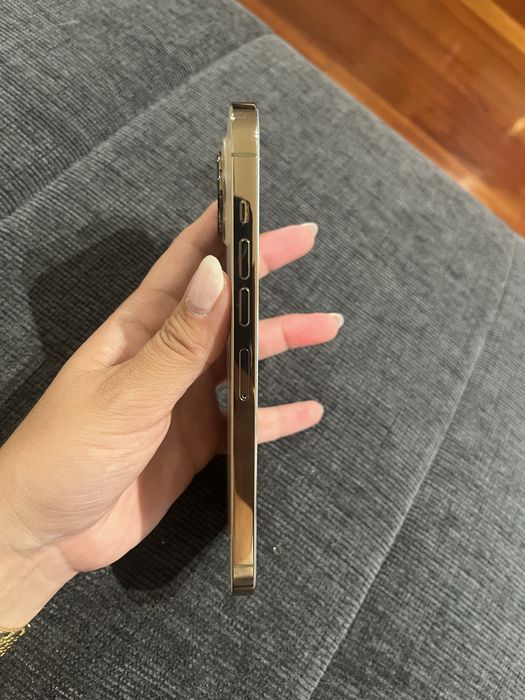iPhone 13 Pro Max | Desbloqueado