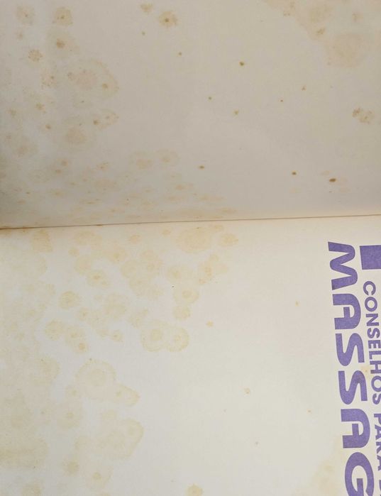 Livro massagens 1000 conselhos para dar massagens