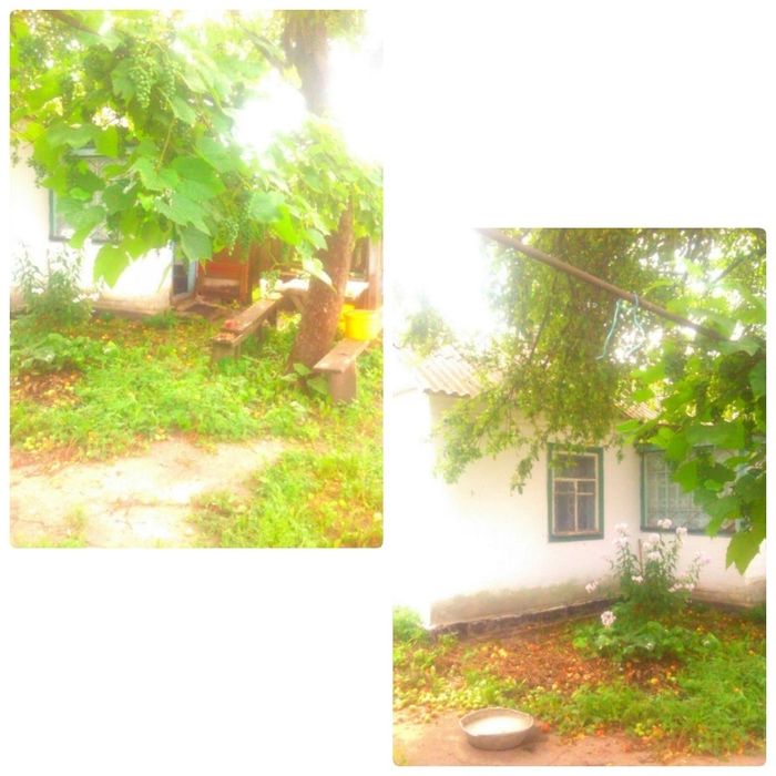 Продам дім,Чернігівська область