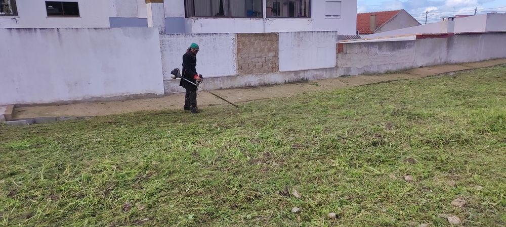 Limpeza jardins e terrenos