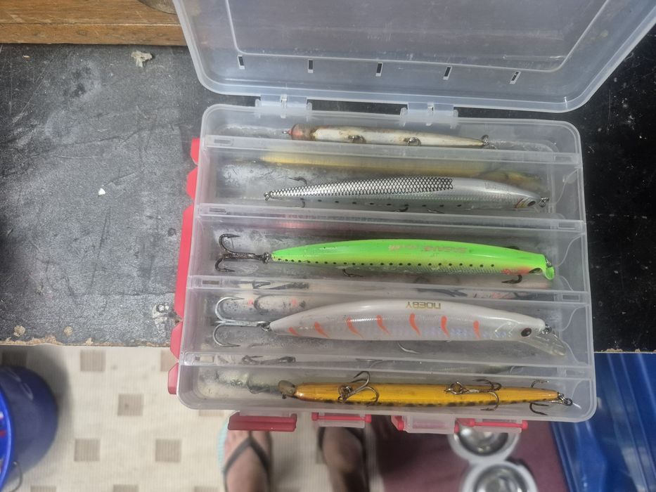 Amostra para pesca