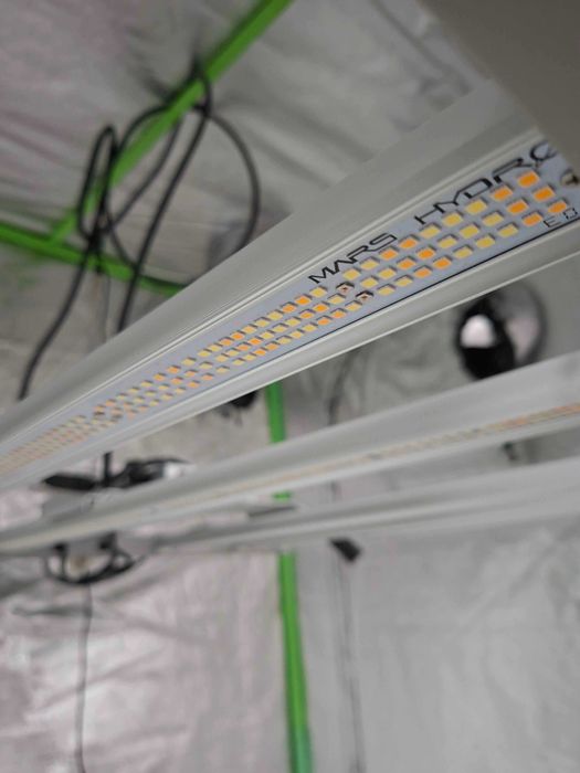 Lampa Mars Hydro FC 4800 do profesjonalnego wzrostu roślin indoor