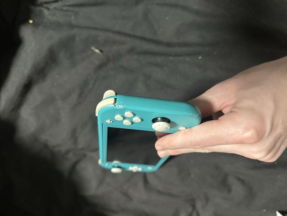 Nintendo switch lite