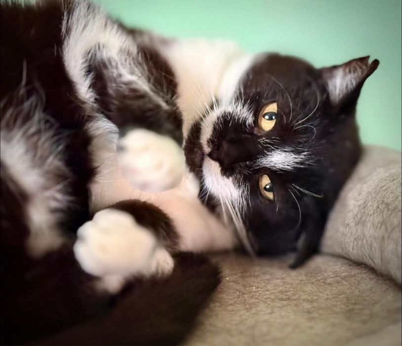 Czy ktoś mnie pokocha?