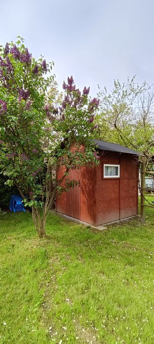 Działka ROD Bolesławiec