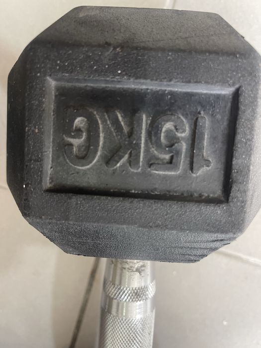 Halteres fitteste
