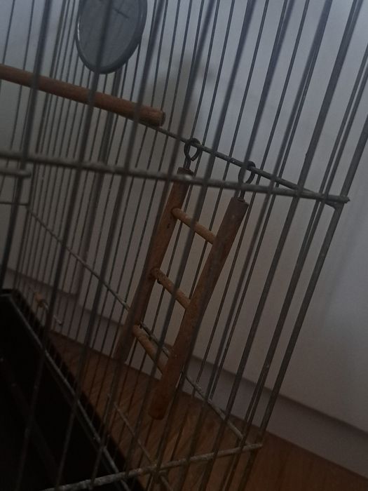 klatka dla ptaszków
