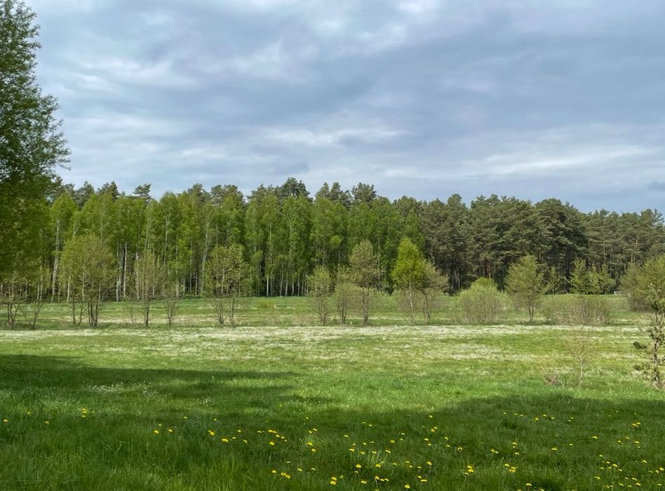 Działka rolna 3000m2 gmina Biała Piska
