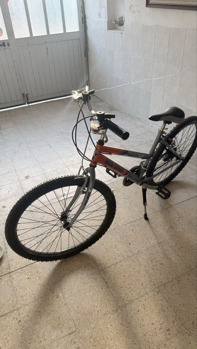Bicicleta Team Pro 4210